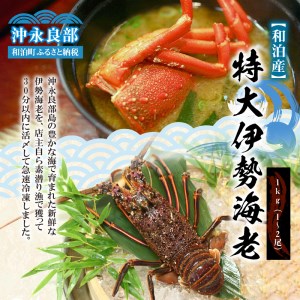 活き〆冷凍　特大伊勢海老１ｋｇ（１～２尾）