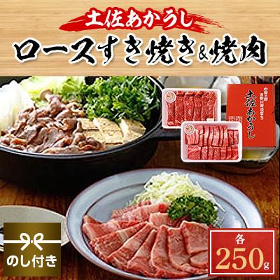 ふるさと納税 本山町 土佐あかうし　ロースすき焼き焼肉　各250g