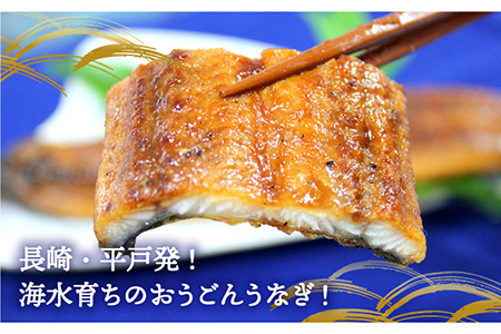 おうごん うなぎ 300g[KAB139]  長崎 平戸 魚介類 魚 うなぎ 鰻 ウナギ 蒲焼 かばやき 定期便