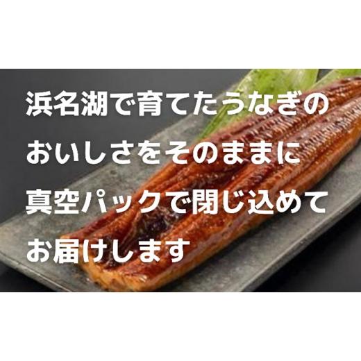 ふるさと納税 静岡県 湖西市 うなぎ蒲焼き（真空パック）×2本　タレ・山椒・お吸い物付