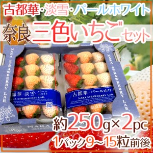 奈良県産 ”三色いちごセット” 2pc（1pcあたり9～15粒前後 約250g）古都華・淡雪・パールホワイト 送料無料