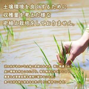 ふるさと納税 令和５年産秋田県産あきたこまち 家計お助け米5kg 秋田県潟上市