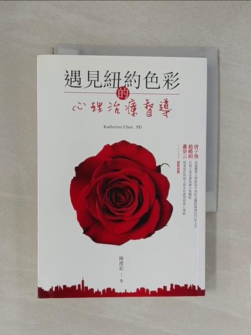 【書寶二手書T1／心理_YXB】遇見紐約色彩的心理治療督導_陳瀅妃