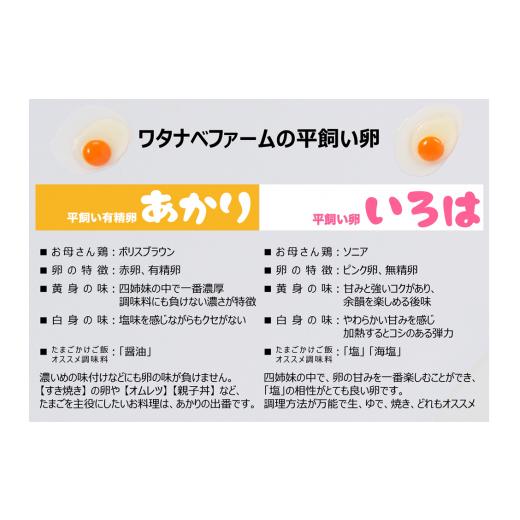 ふるさと納税 栃木県 矢板市 [平飼い卵食べ比べ] 平飼い有精卵あかり・平飼い卵いろは 各15個 合計30個｜矢板市産 こだわり卵 たまご 玉子 生卵 鶏卵 [0432]