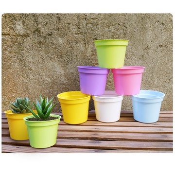 【蔬菜工坊】3吋彩色荷蘭盆100入/組(共6色可選)粉藍色