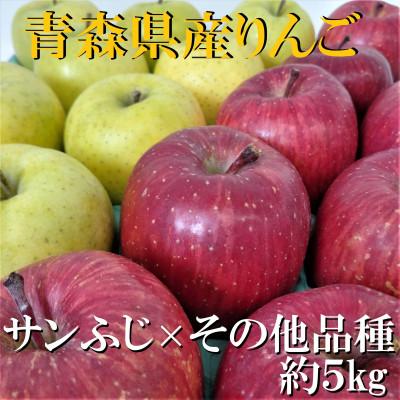 ふるさと納税 黒石市 サンふじ×その他品種　約5kg