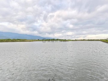 國家考試及格雙證書~近白宮，大坪數面寬魚塭農地｜宜蘭縣礁溪鄉新塭段