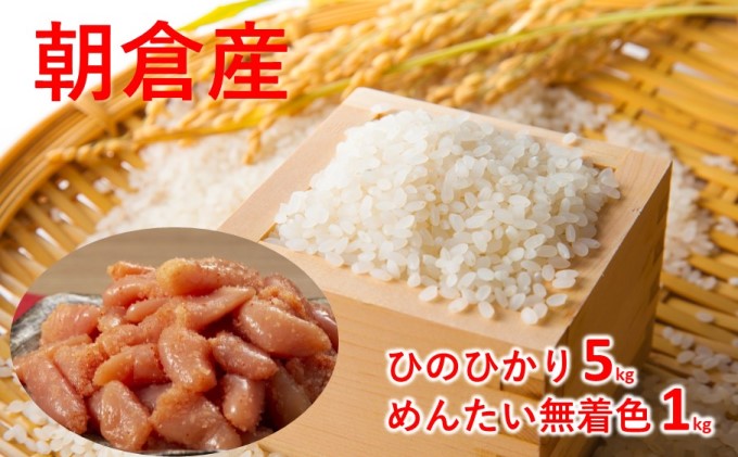 朝ごはんセット ひのひかり 5kgとめんたい 無着色 小切れ 1kg