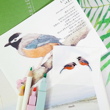 臺灣特有種 白耳畫眉 繪畫鈕扣 裝飾扣