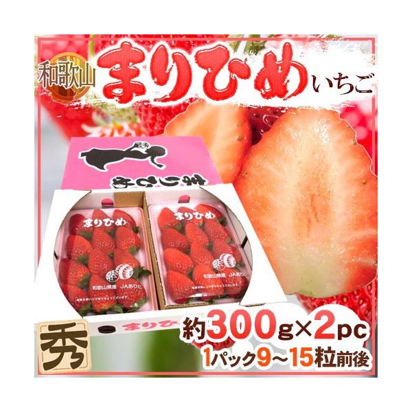 和歌山県 ”まりひめいちご（毬姫苺）” 秀品 2パック入り（1パック 9〜15粒 約300g）×《1箱》 送料無料