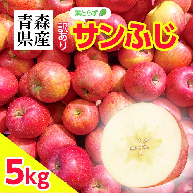 りんご サンふじ 葉とらず 5kg (13玉〜23玉入り) 訳あり 産地直送 青森県産 リンゴ 林檎 あまい 家庭用 果物 くだもの フルーツ 11月下旬より発送