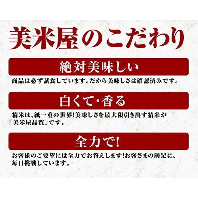 精米 山形県 1等米 つや姫 白米 5kg×2 令和4年産