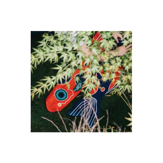 ふるさと納税 京都府 京都市 鯉のぼり　紺色・赤色（1m）各1匹セット