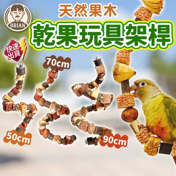 乾果玩具架桿【布萊恩👨🏻隔日到貨】鸚鵡磨牙玩具 磨牙果實 鳥磨牙用品 鸚鵡啃咬串 鳥類啃咬串 鳥玩具 鳥用品 寵物用品