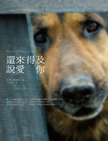 還來得及說愛你[二手書_良好]