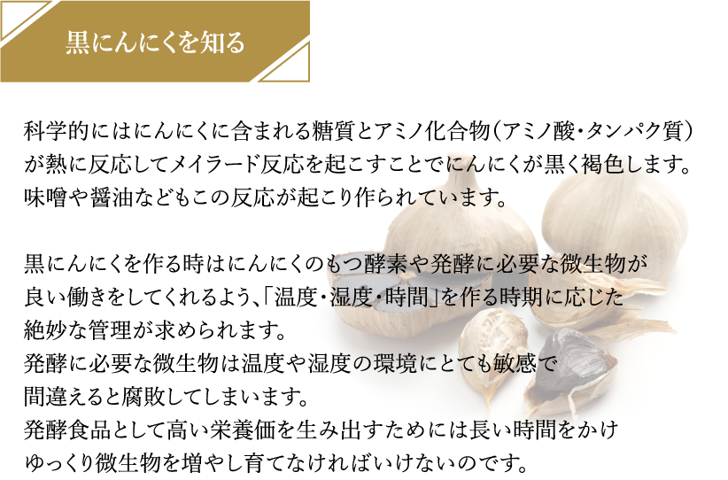 黒にんにく 青森県産  臭わない 国産 300g（1日1片：約1か月～1か月半分）