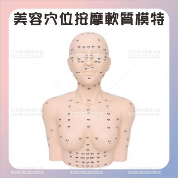 美容按摩軟質模特兒(黑字穴位)-單個[10739]美容院按摩練手法頭模特