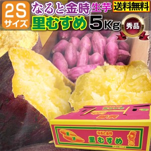 さつまいも なると金時 里むすめ 秀品 生芋 小ぶりの2sサイズ 5kg×1箱 鳴戸市里浦 産地直送 送料無料 J常