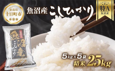 魚沼産 コシヒカリ 5kg ×5袋 計25kg お米 こしひかり 新潟 （お米の美味しい炊き方ガイド付き）