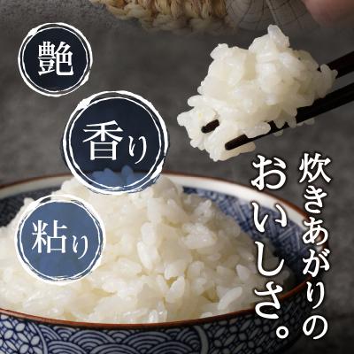 ふるさと納税 焼津市  令和5年産新米 米 コシヒカリ30kg(b15-025)