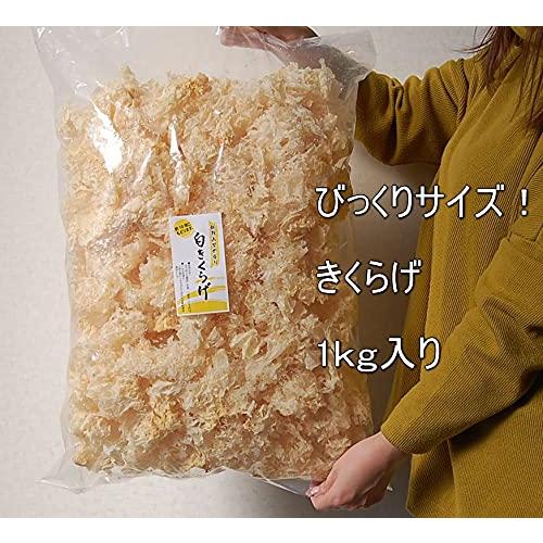 白きくらげ（白木耳）　1kg