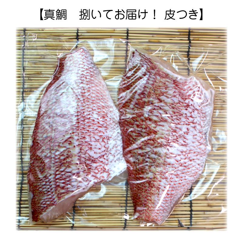 活〆 真鯛 捌いてお届け！ 標準サイズ 1尾 1.2kg　[魚介類]