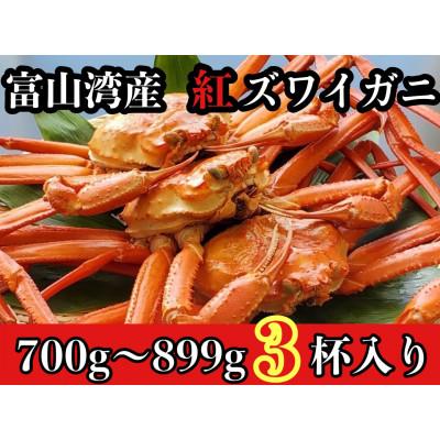 ふるさと納税 魚津市 魚卸問屋のベニズワイガニ700〜800g級×3杯