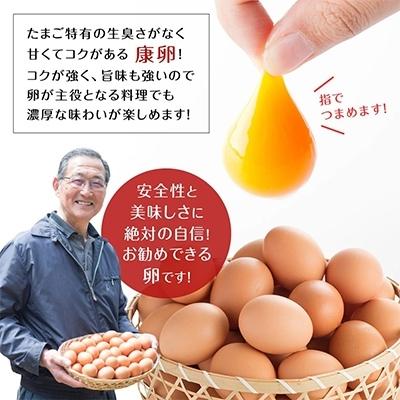 ふるさと納税 えびの市 こだわりタマゴ　「康卵」　80個セット