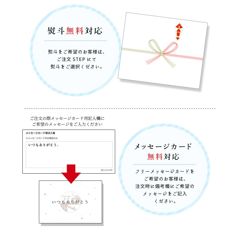 ほたて カンカン焼きセット ２０枚入 冷凍ほたて 送料無料 北海道産 半缶入り（貝むきナイフ・片手用軍手付き） ほたて片貝 海鮮 バーベキューセット