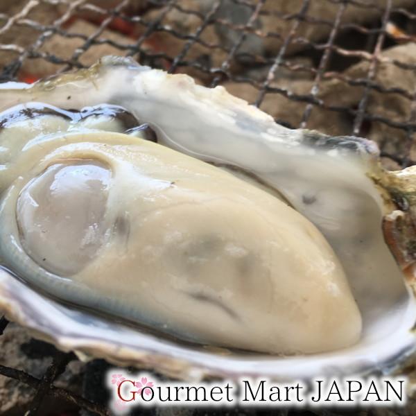 牡蠣 生食用 カキ 殻付き  マルえもん[Lサイズ]10個セット 北海道厚岸産 お取り寄せ グルメ お歳暮 年末年始 お正月