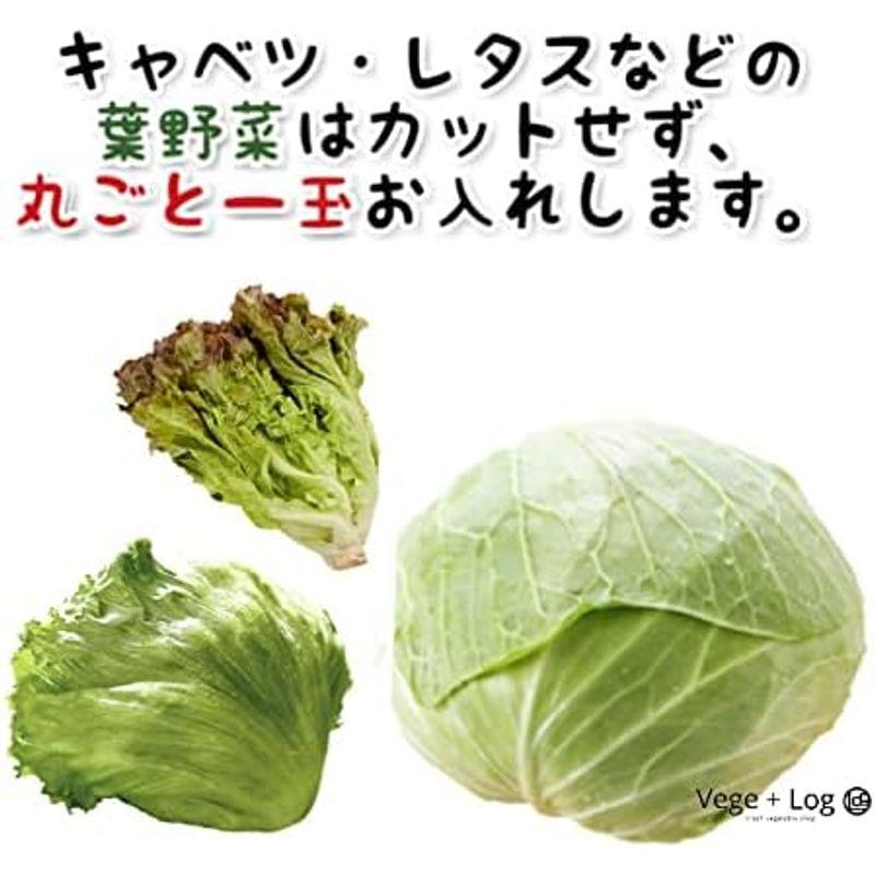 京都卸売市場より 国産新鮮野菜セット (L) 15~17種類 秀〜A品 ギフト用 贈答品質 季節の野菜定番野菜きのこ詰め合わせ おまかせ