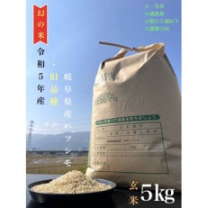 令和5年産　ハツシモ(旧品種)　5kg　玄米