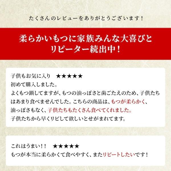 モツ鍋 もつ鍋 博多 牛 もつ ホルモン 鍋 セット ちゃんぽん お取り寄せ 常温保存 長期保存可能  牛もつ鍋セット 1人前×2セット 麺1セット