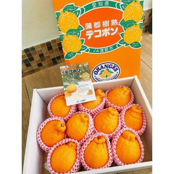 日本 愛知縣 蒲郡市 溫室樹熟 柑橘皇后 不知火 凸頂柑｜日本進口水果	2玉/ 600g+-10%