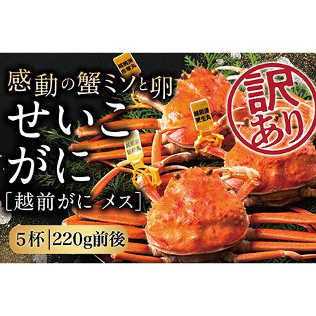 ふるさと納税 越前がに（メス）「せいこがに」 訳あり  特大サイズ 220g前後 ×  5杯 福井県越前市