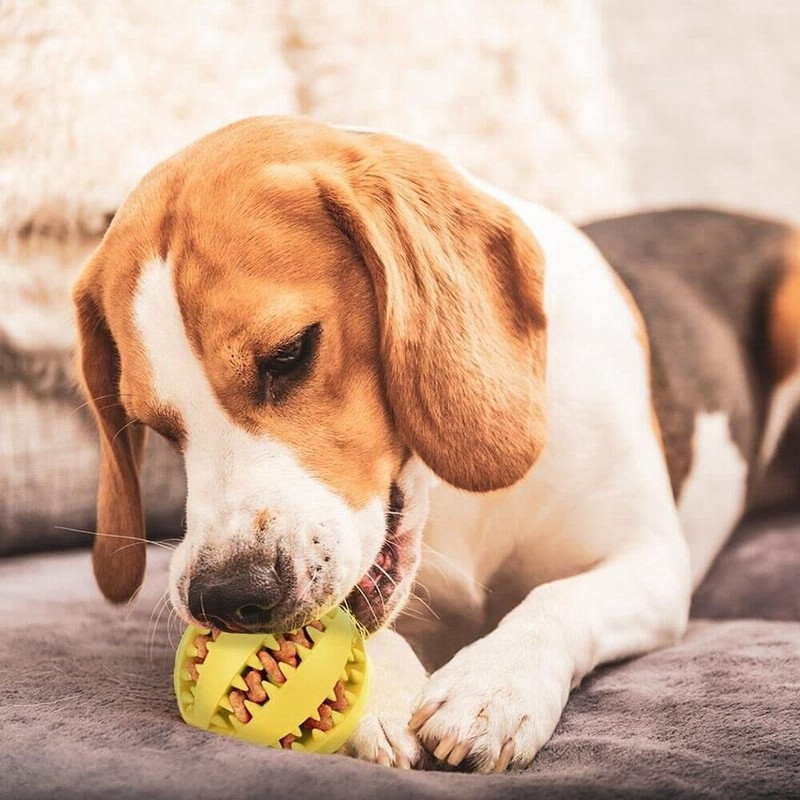 犬 おもちゃ 犬 ボール 犬用 玩具ボール おやつボール 噛むおもちゃ やわらかい 知育玩具 餌入れ 運動不足やストレス解消 ダ イエット レーニングなど 6cm 通販 Lineポイント最大0 5 Get Lineショッピング