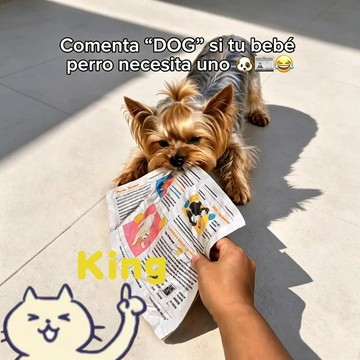 【臺灣出貨】狗狗撕不爛仿真報紙玩具 拿取即玩簡易使用 大小犬適用啃咬用品 厚實材質抗造耐咬 居家解悶消耗體力狗狗耐撕玩具