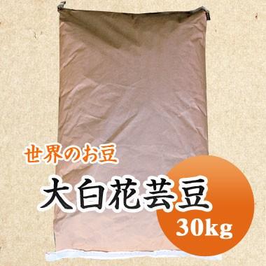 豆 白花豆 大白花芸豆 30kｇ 中国産 送料無料