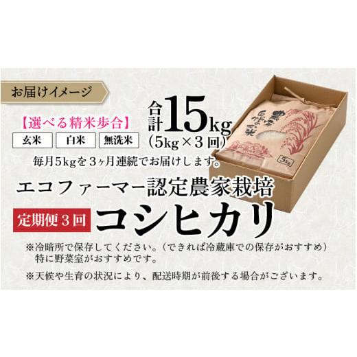 ふるさと納税 福井県 大野市 越前大野産 エコファーマー認定農家栽培こしひかり 白米 5kg × 3回 計15kg