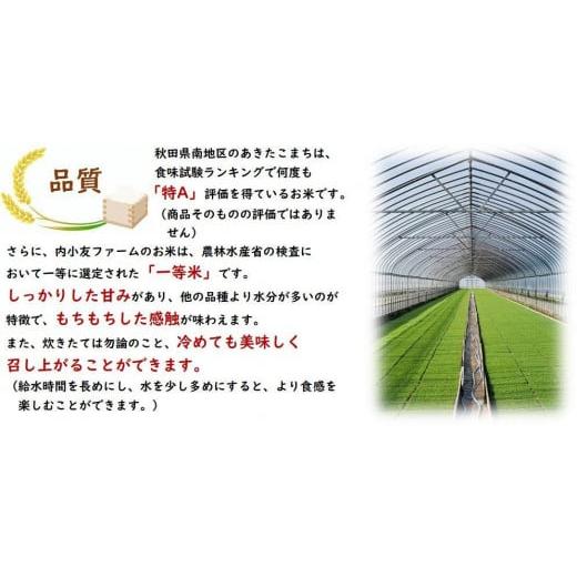 ふるさと納税 秋田県 大仙市 令和5年産 秋田県産あきたこまち 一等米 農家直送 玄米30kg