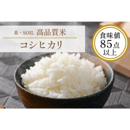 ふるさと納税 《定期便》5kg×12回 60kg 特別栽培米 コシヒカリ 無洗米 低農薬 《食味値85点以上！こだわり極上無洗米》   .. 福井県あわら市