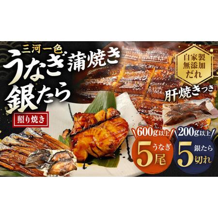 ふるさと納税 (中)5P 三河一色 うなぎ 蒲焼き 5尾 × 銀たら 5切れ (肝焼き付き) 鰻 ウナギ タラ 鱈 銀鱈 愛知県幸田町