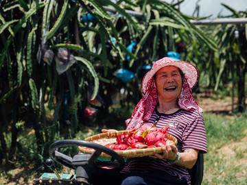 農遊超市 - 彰化 | 新科紅龍果園-紅龍果 (250元採果通用券(適用全台37家以上農場果園))-單人採果券