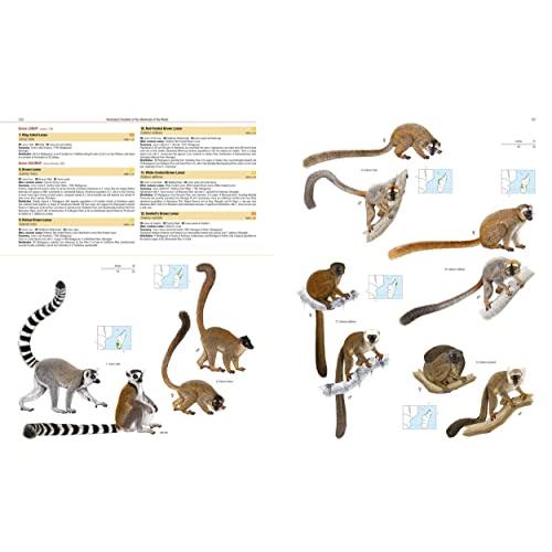 Illustrated Checklist of the Mammals of the World