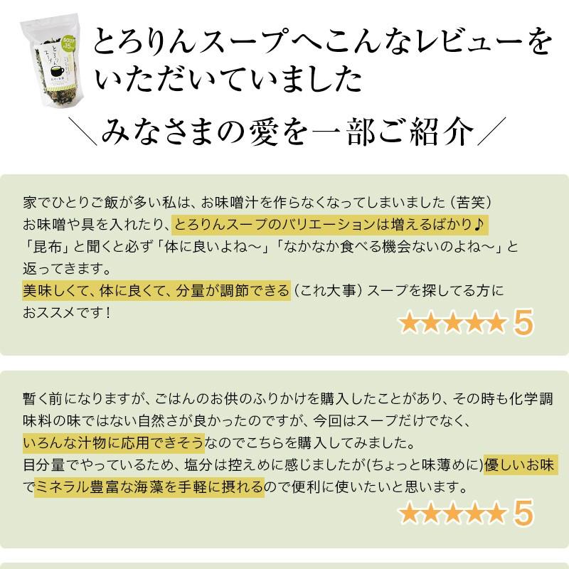 昆布 海藻 がごめ昆布 わかめ とろろ昆布入 即席 お試し 海藻スープ インスタント 食物繊維 食品 たっぷり15杯分 とろりんスープ （うめ味） 60g×1袋