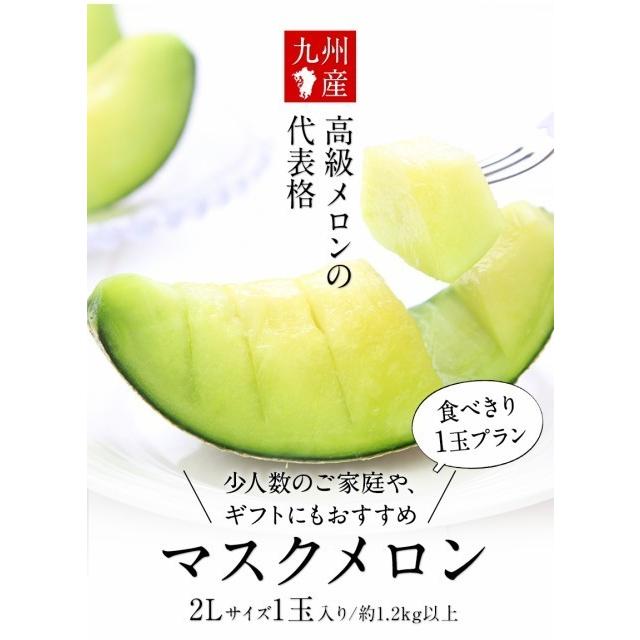 お歳暮 ギフト 九州産 マスクメロン 秀品 1玉 2Lサイズ 1.2kg以上 送料無料 メロン 高級メロン 果物 フルーツ 7-14営業日以内に出荷