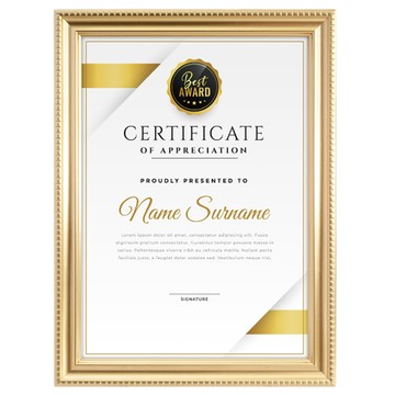 TRENY 金賞獎狀證書相框 美觀精緻 提升空間質感 可直立/橫躺/壁掛 節省空間  金色  A4  1個