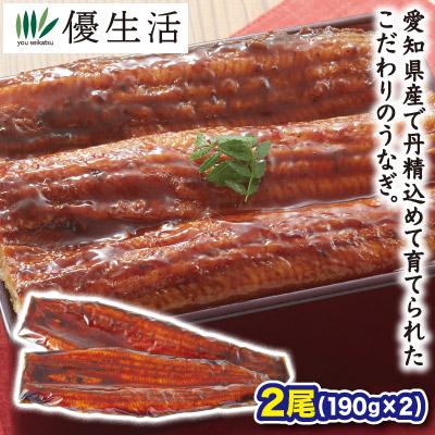 愛知県産うなぎ長蒲焼2尾 190g×2 送料無料