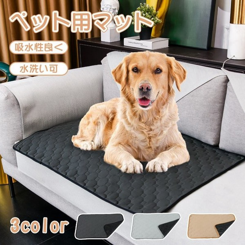 ペットシーツ 洗える 猫 犬用 ペット用 トイレ下敷きマット速乾 洗える ペット用 おしっこマット 犬 トイレマット ペットマット トイレシート 下敷き マット 通販 Lineポイント最大0 5 Get Lineショッピング