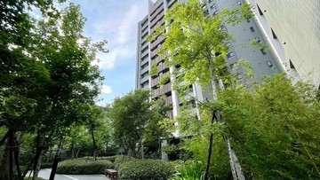 南屯華相楓PARK全新四房雙平車｜台中市南屯區楓樹西街